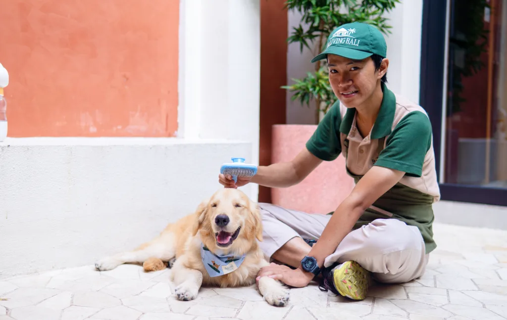 dog walker