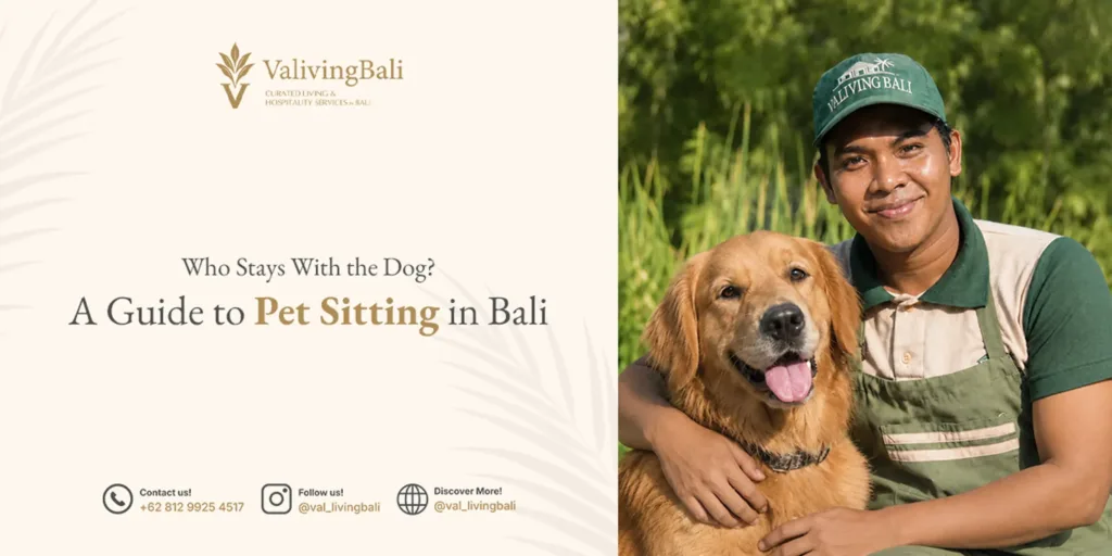 pet sitting in bali
