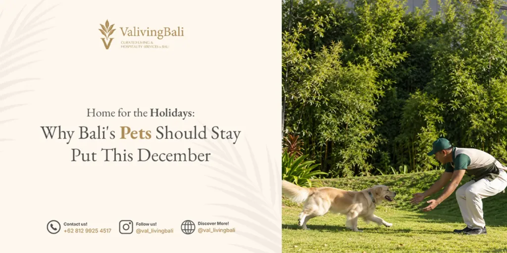 Bali pet sitter for holidays